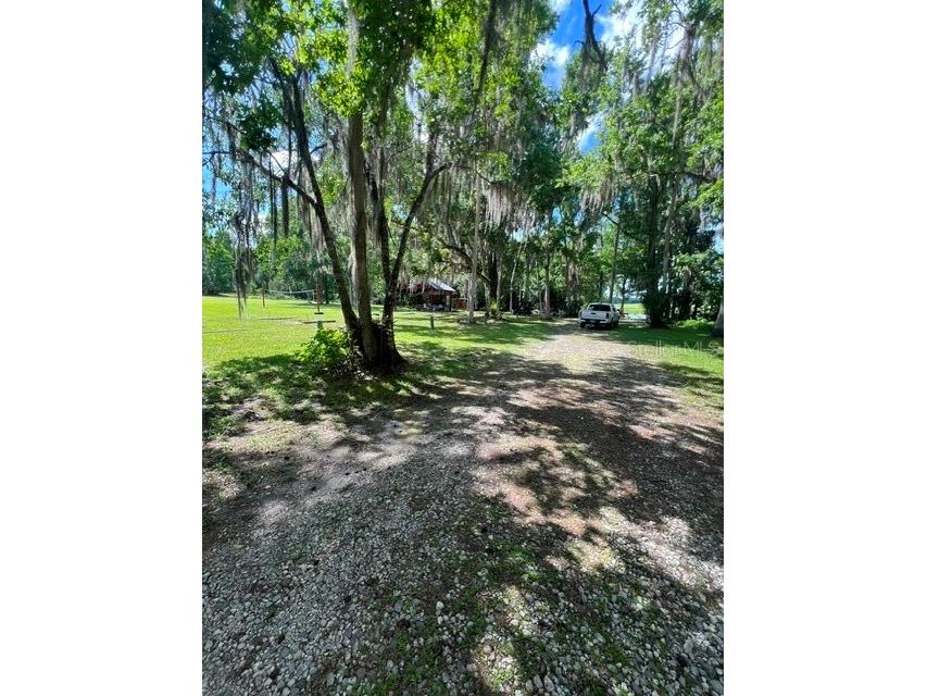 32316 Chipola Trail Sorrento FL 32776 - WEKIVA RIVER O6424038 image21