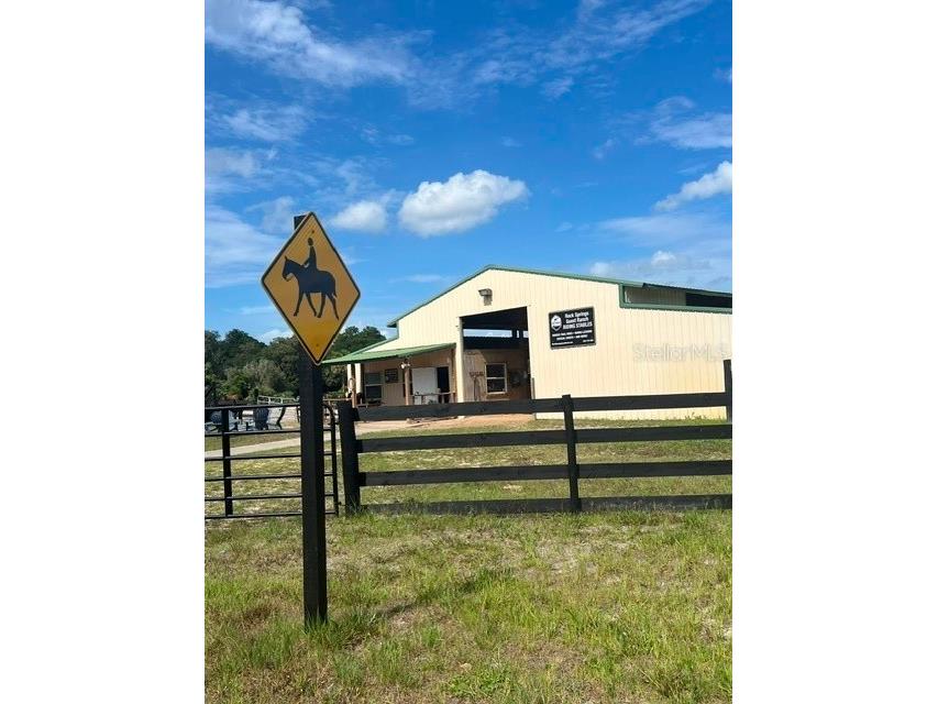 32316 Chipola Trail Sorrento FL 32776 - WEKIVA RIVER O6424038 image22