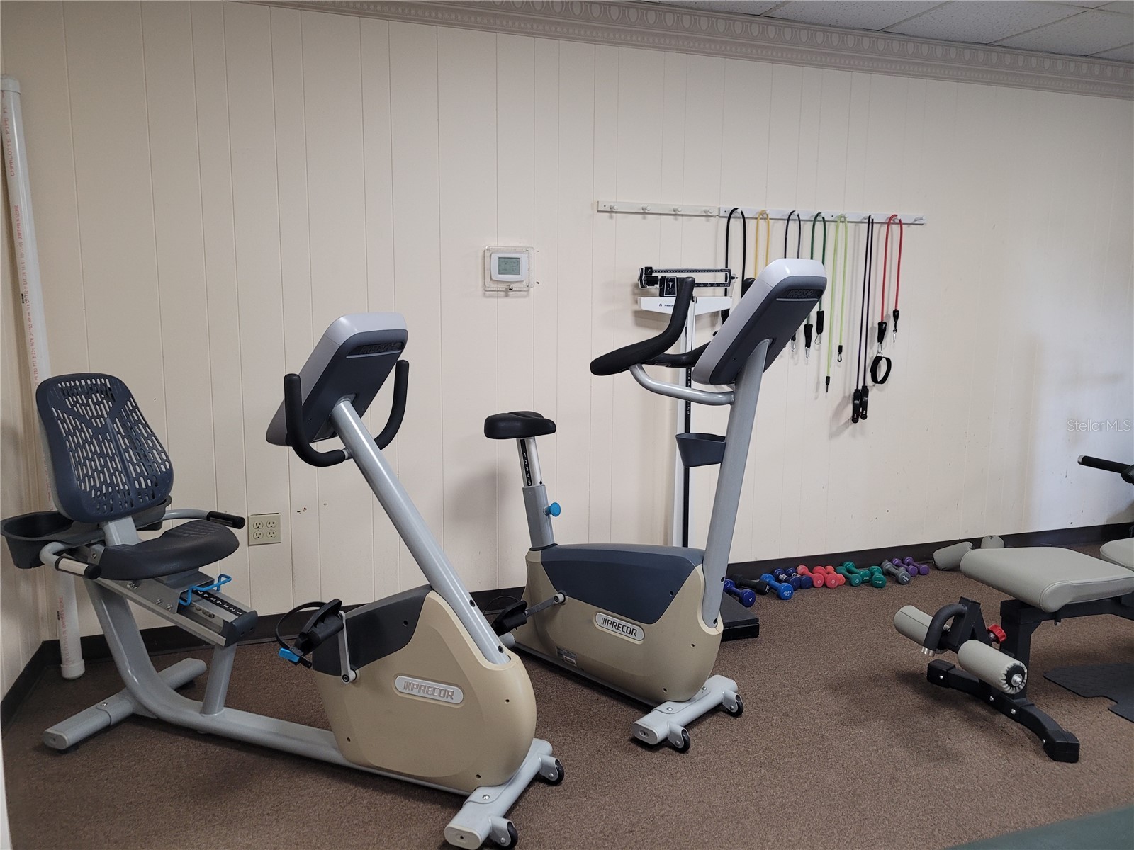 3232 Ash Terrace Sarasota FL 34237 A4680691 image60