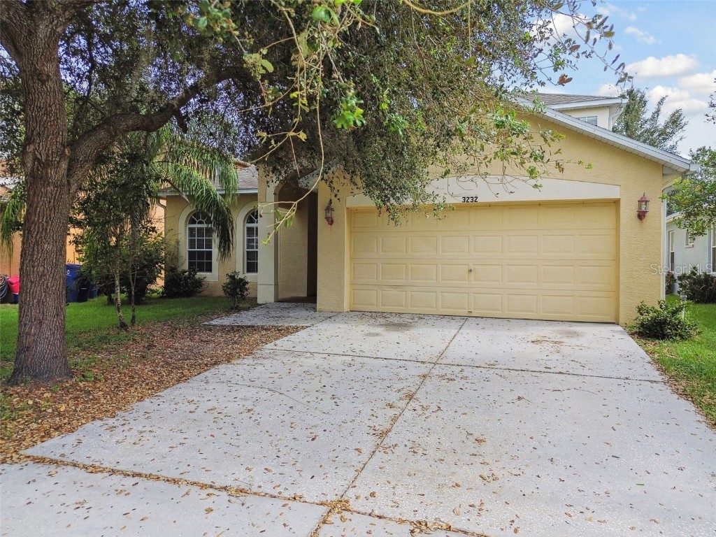 3232 Gianna Way Land O Lakes FL 34638 TB8307546 image1