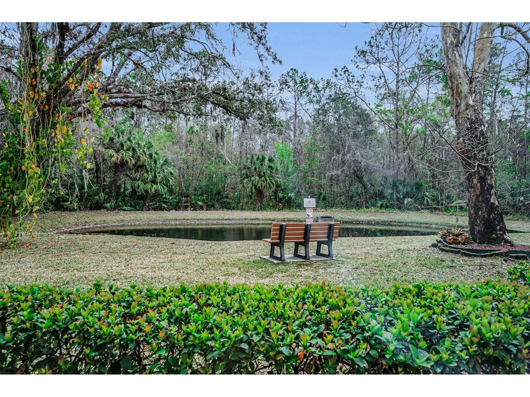 3232 Lake Pine Way E #C1 Tarpon Springs FL 34688 TB8482494 image17