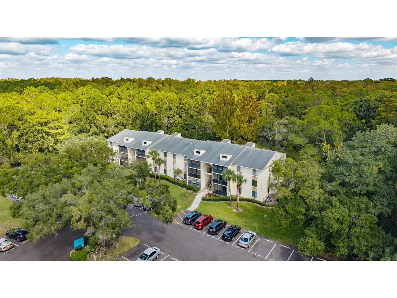 3232 Lake Pine Way E #F2 Tarpon Springs FL 34688 TB8439669 image1