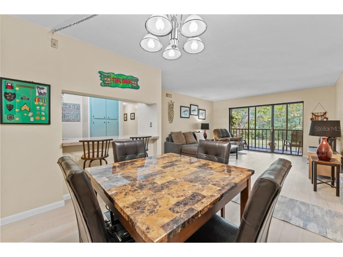 3232 Lake Pine Way E #F2 Tarpon Springs FL 34688 TB8439669 image13