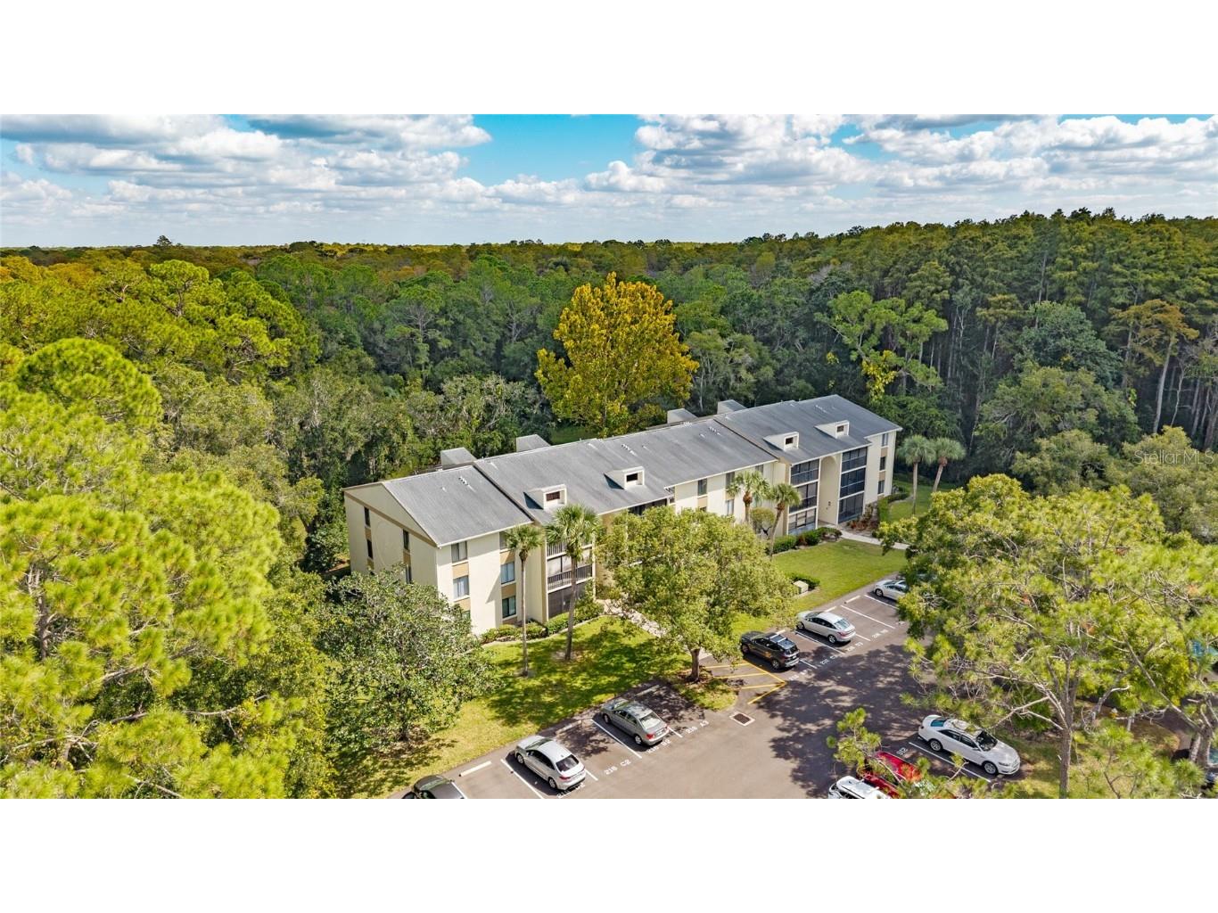 3232 Lake Pine Way E #F2 Tarpon Springs FL 34688 TB8439669 image2