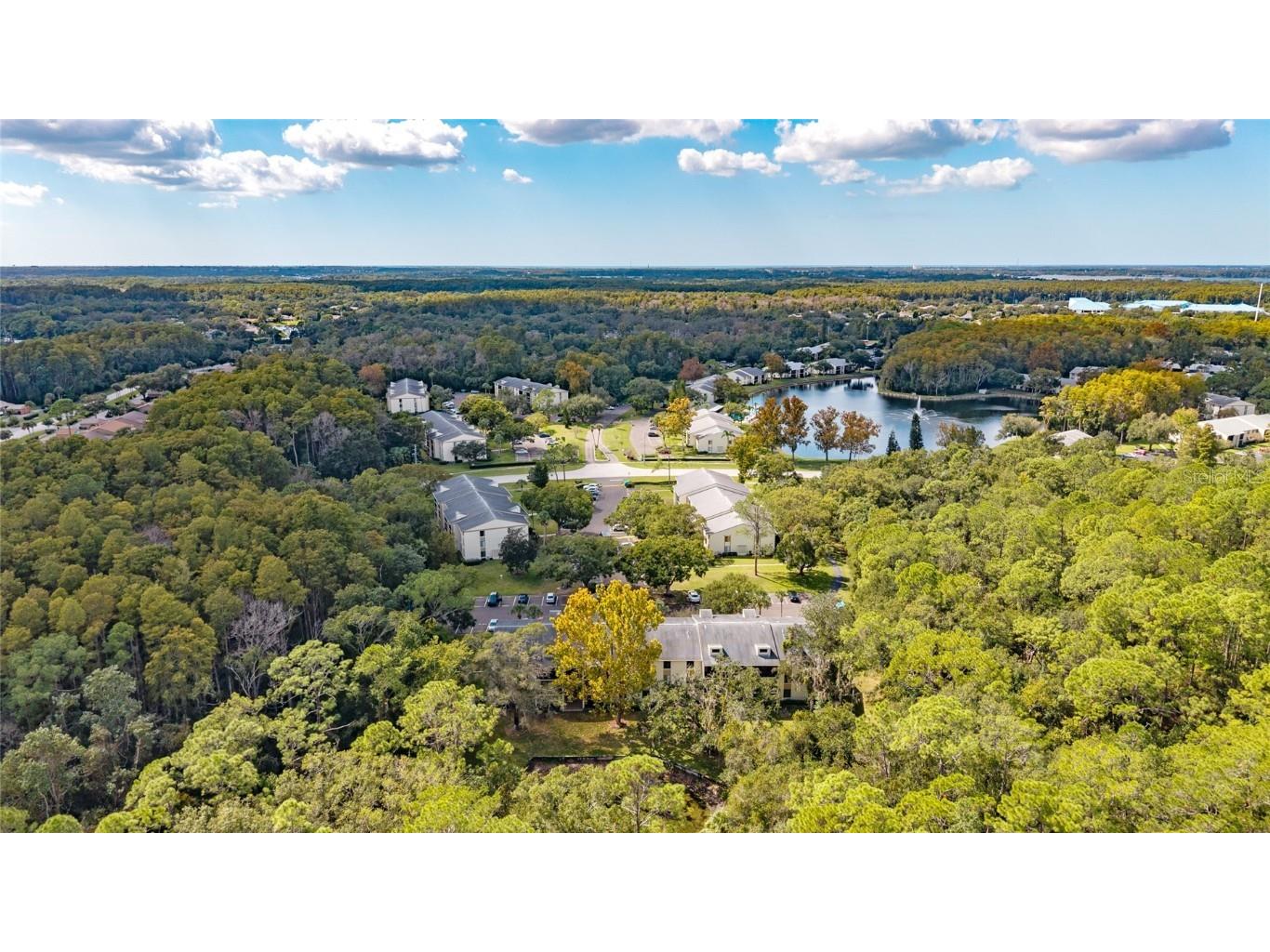 3232 Lake Pine Way E #F2 Tarpon Springs FL 34688 TB8439669 image3