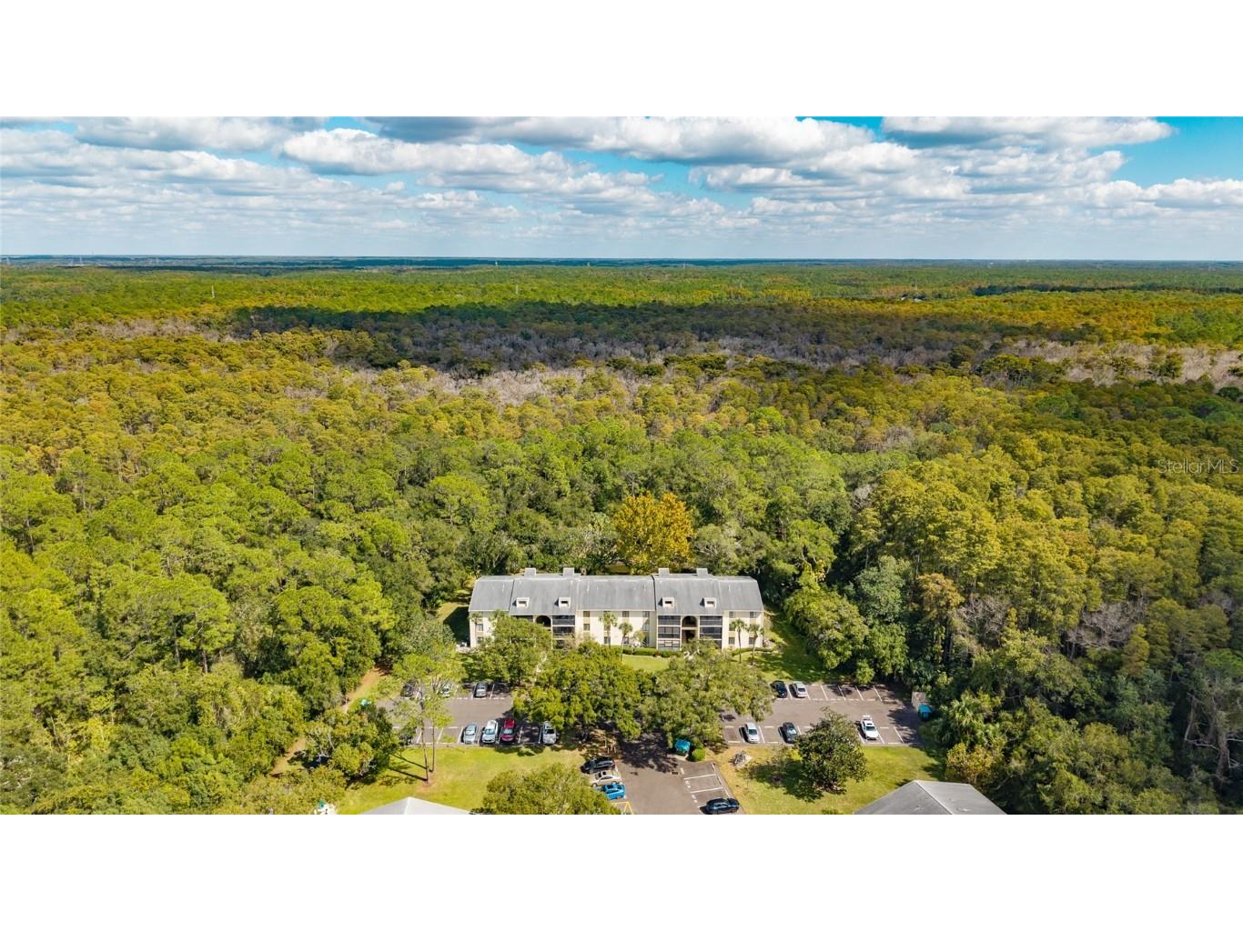 3232 Lake Pine Way E #F2 Tarpon Springs FL 34688 TB8439669 image4