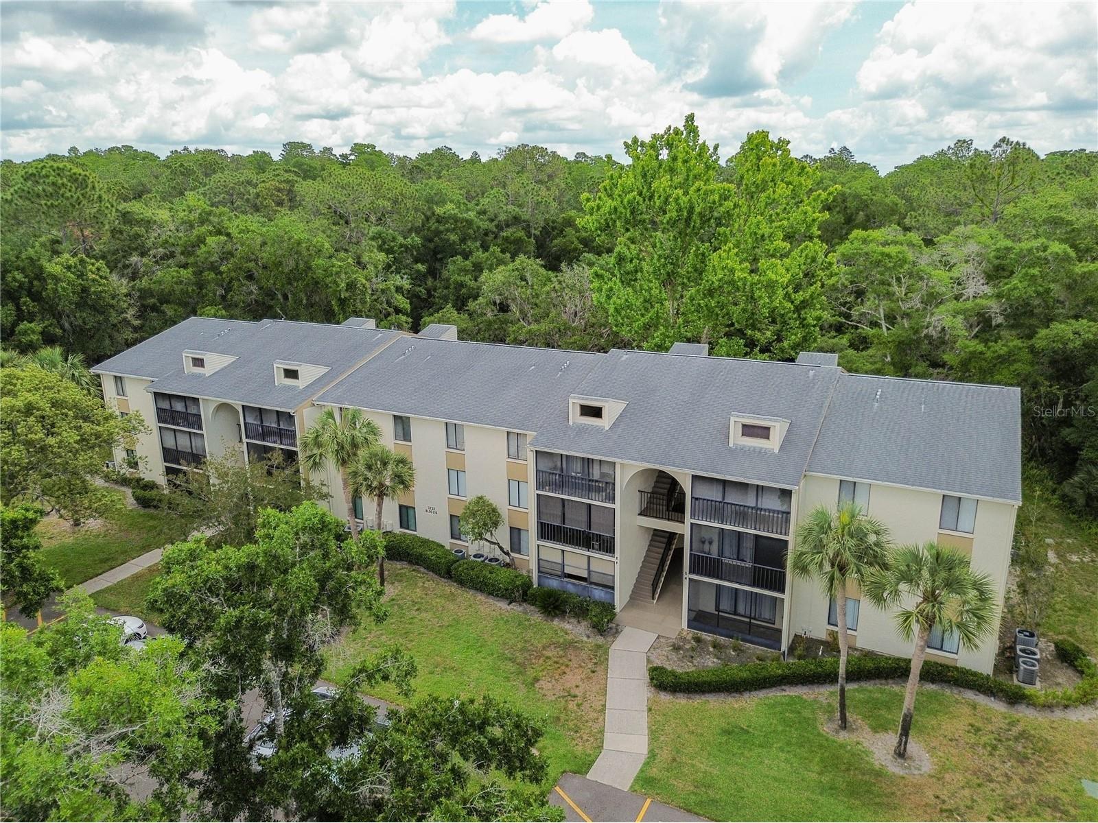 3232 Lake Pine Way E #F3 Tarpon Springs FL 34688 TB8509382 image1
