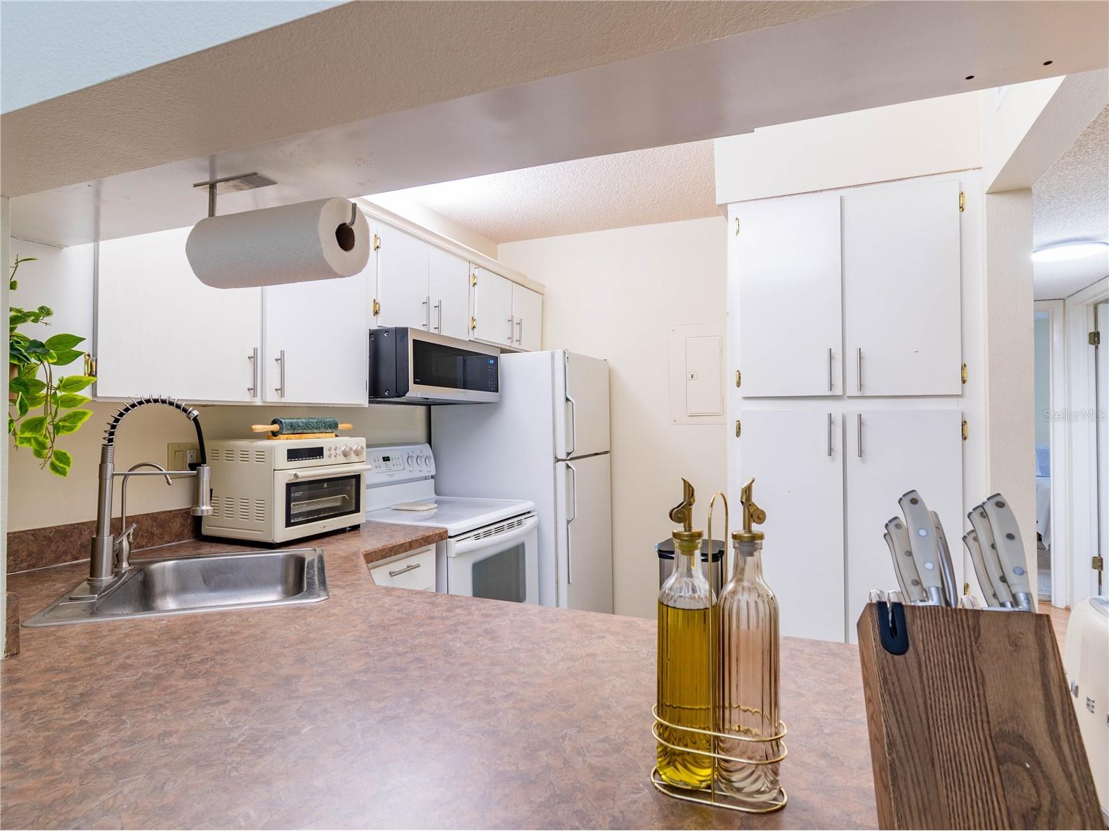 3232 Lake Pine Way E #F3 Tarpon Springs FL 34688 TB8509382 image15