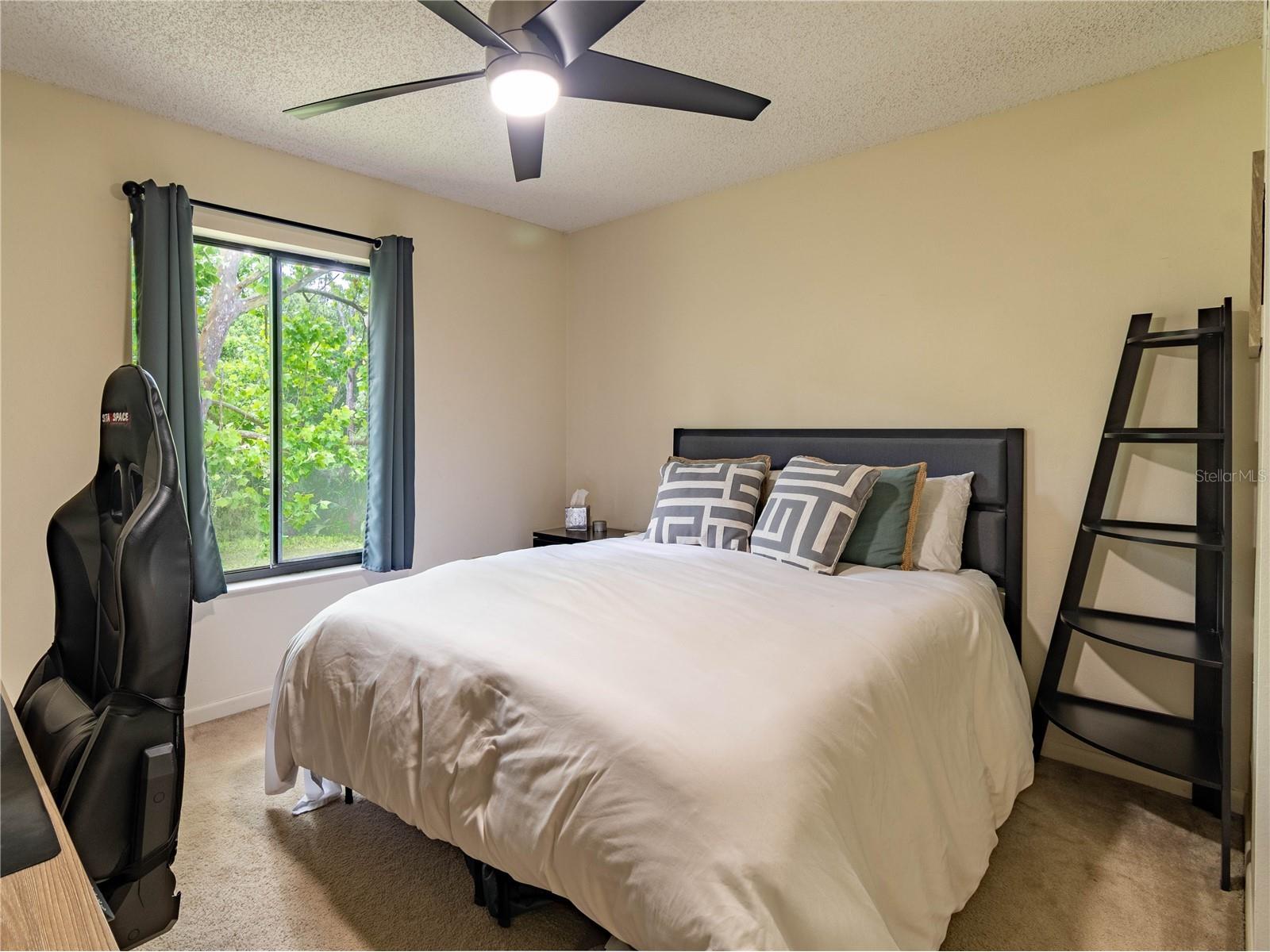 3232 Lake Pine Way E #F3 Tarpon Springs FL 34688 TB8509382 image25