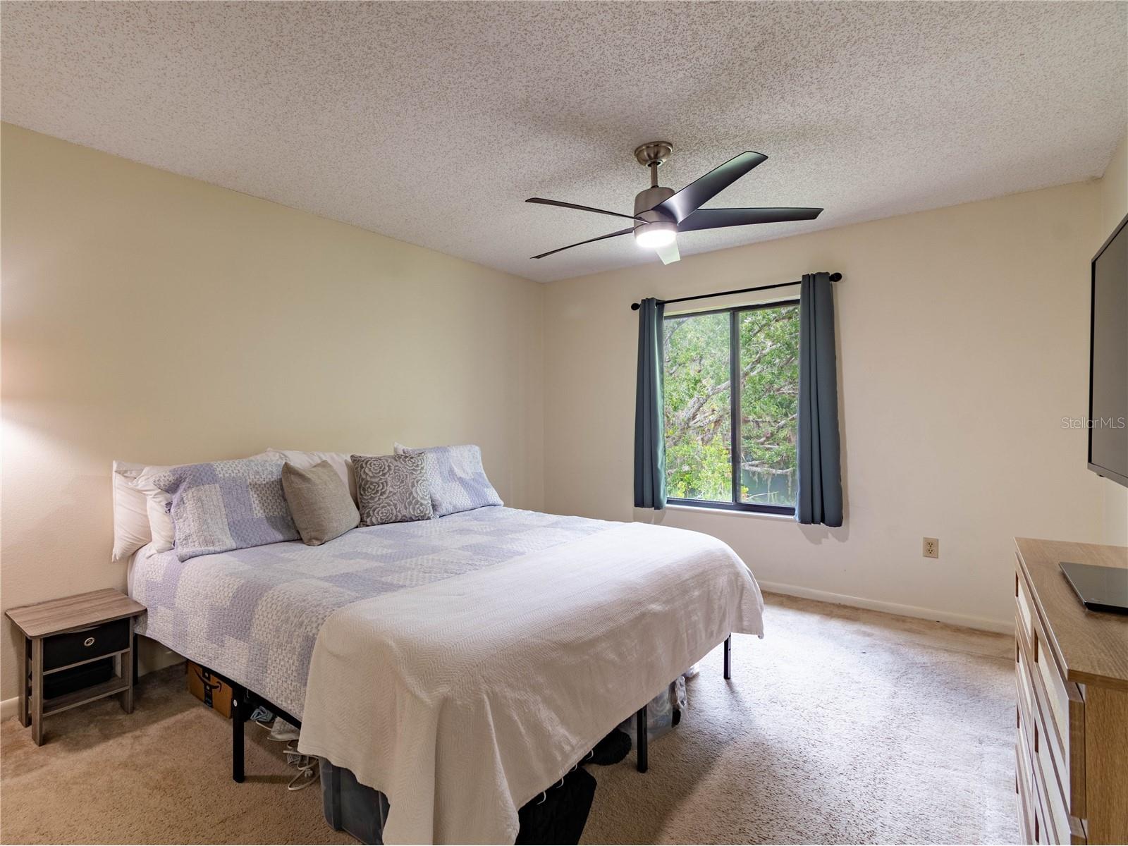 3232 Lake Pine Way E #F3 Tarpon Springs FL 34688 TB8509382 image27