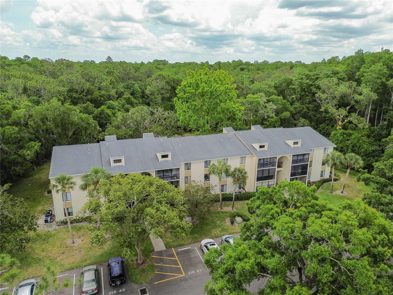 3232 Lake Pine Way E #F3 Tarpon Springs FL 34688 TB8509382 image34