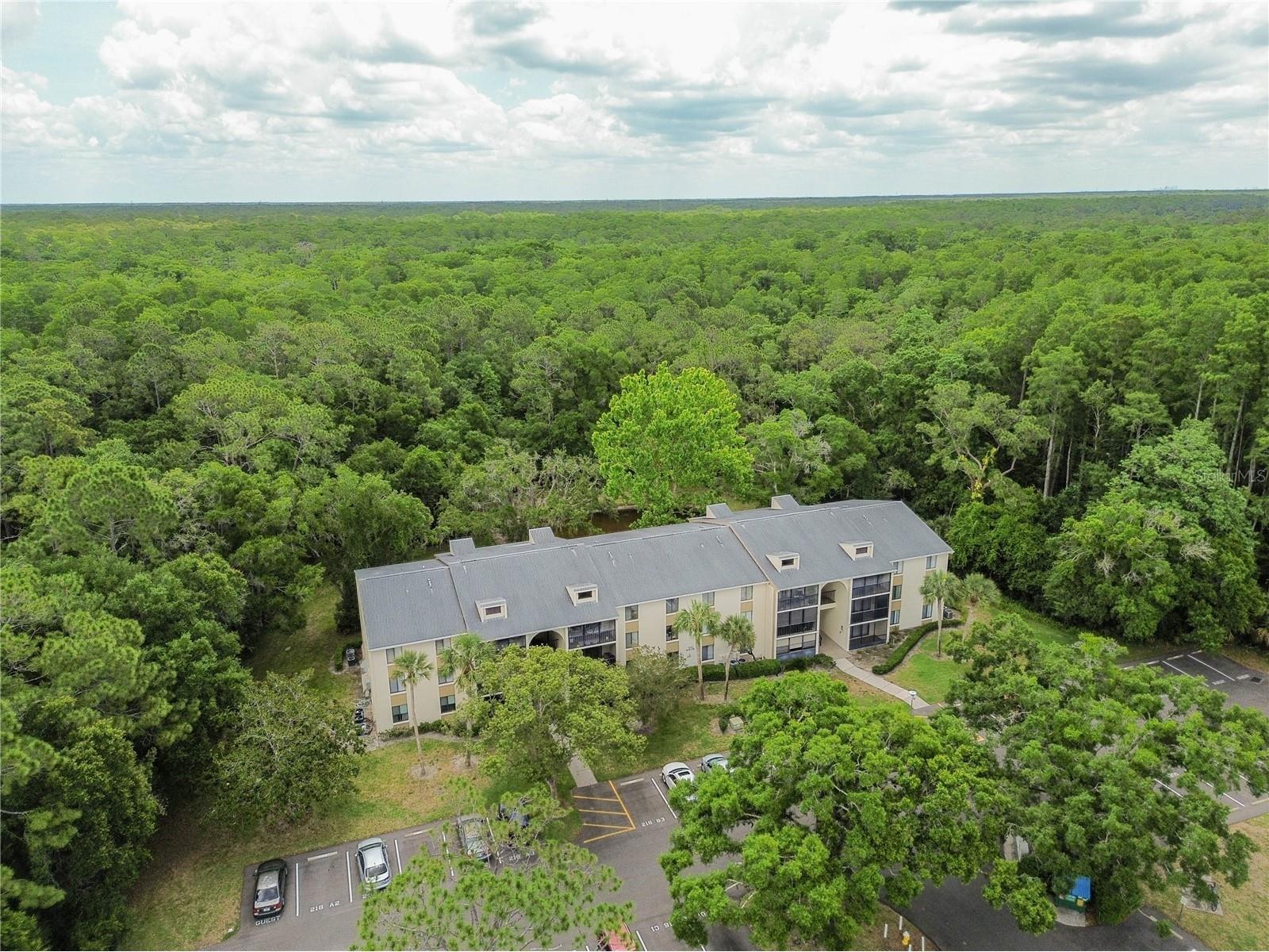3232 Lake Pine Way E #F3 Tarpon Springs FL 34688 TB8509382 image35