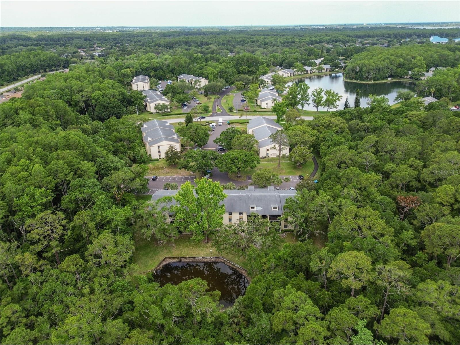 3232 Lake Pine Way E #F3 Tarpon Springs FL 34688 TB8509382 image36
