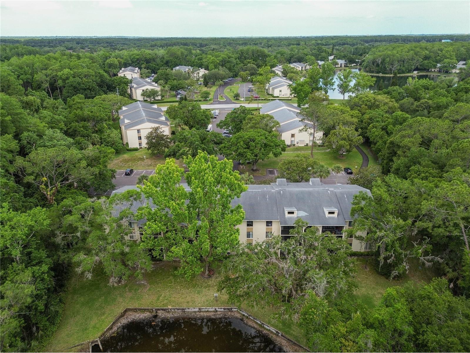 3232 Lake Pine Way E #F3 Tarpon Springs FL 34688 TB8509382 image37