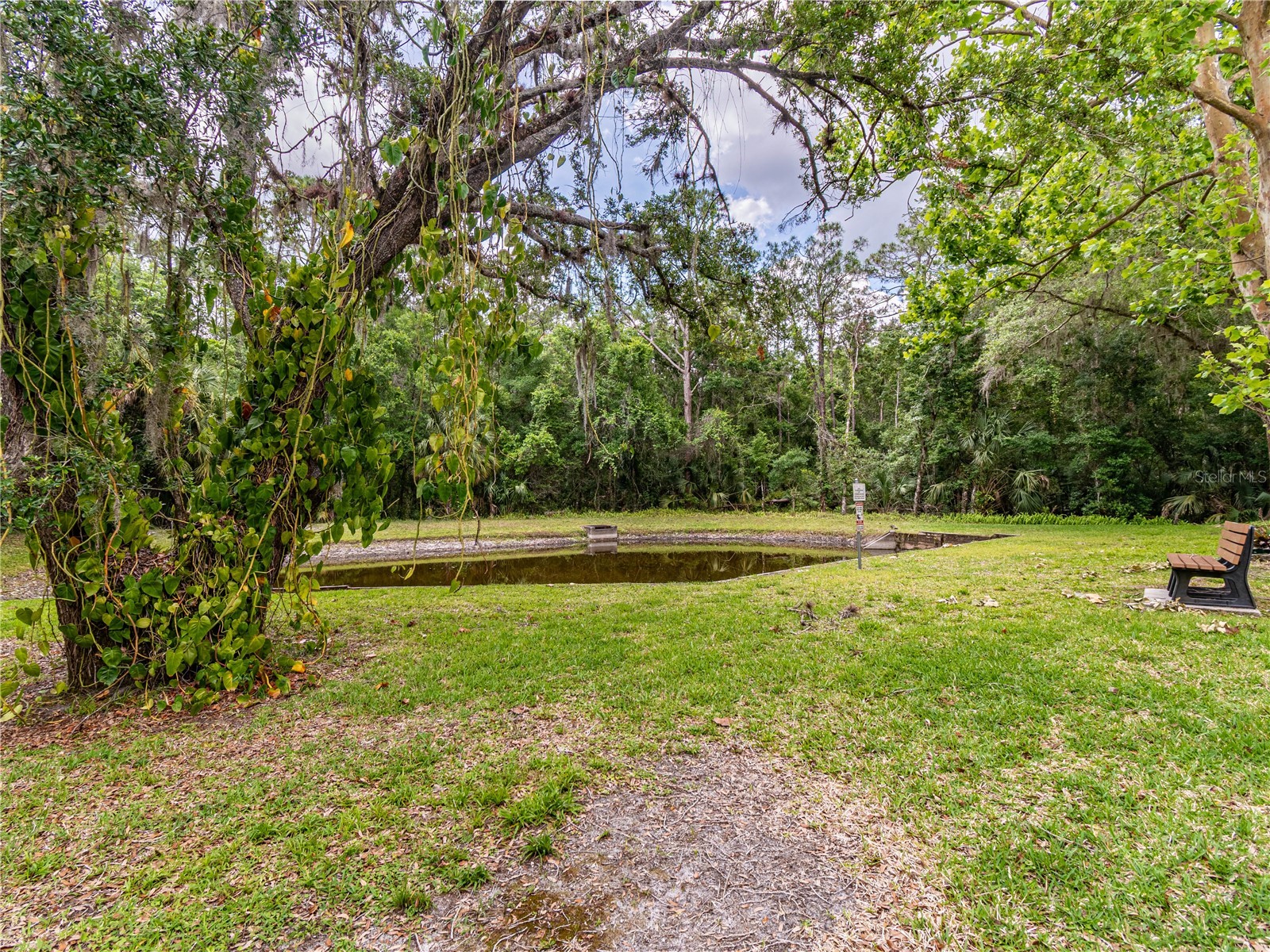 3232 Lake Pine Way E #F3 Tarpon Springs FL 34688 TB8509382 image39