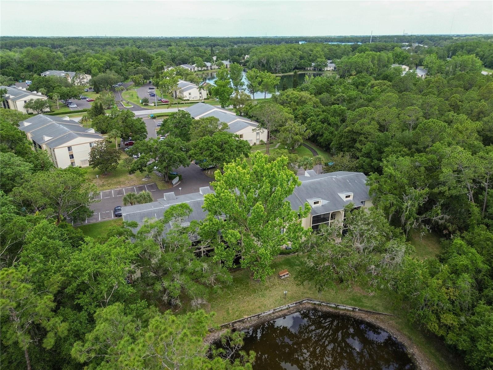 3232 Lake Pine Way E #F3 Tarpon Springs FL 34688 TB8509382 image4