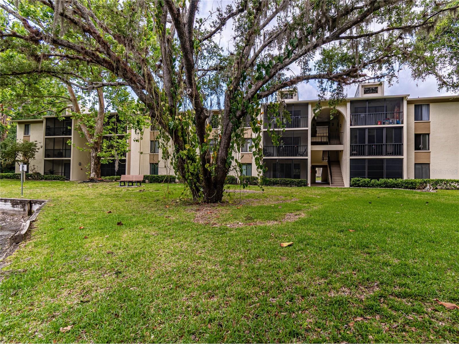 3232 Lake Pine Way E #F3 Tarpon Springs FL 34688 TB8509382 image40