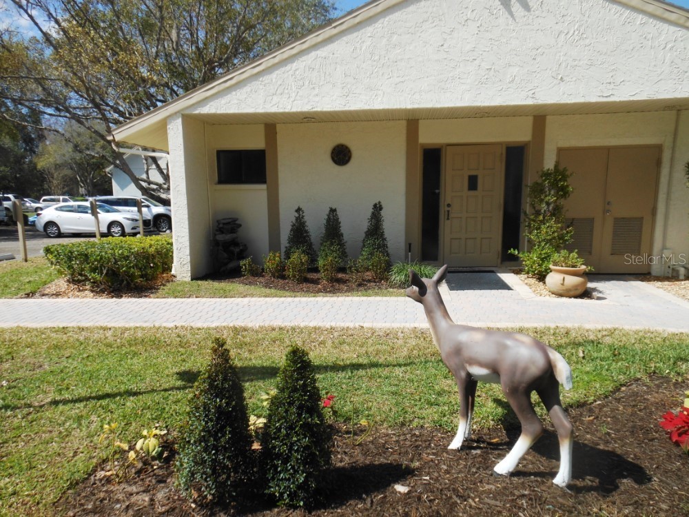 3232 Lake Pine Way E #F3 Tarpon Springs FL 34688 TB8509382 image42