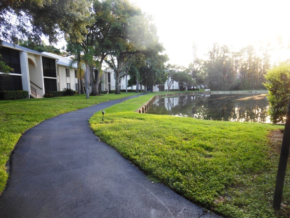 3232 Lake Pine Way E #F3 Tarpon Springs FL 34688 TB8509382 image48