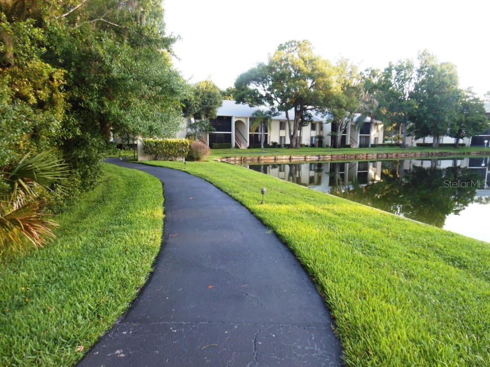 3232 Lake Pine Way E #F3 Tarpon Springs FL 34688 TB8509382 image49