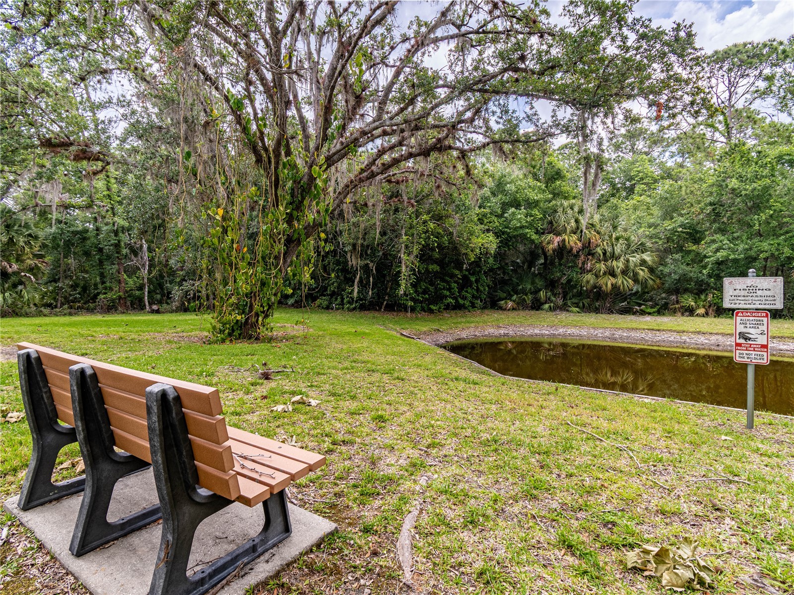 3232 Lake Pine Way E #F3 Tarpon Springs FL 34688 TB8509382 image5