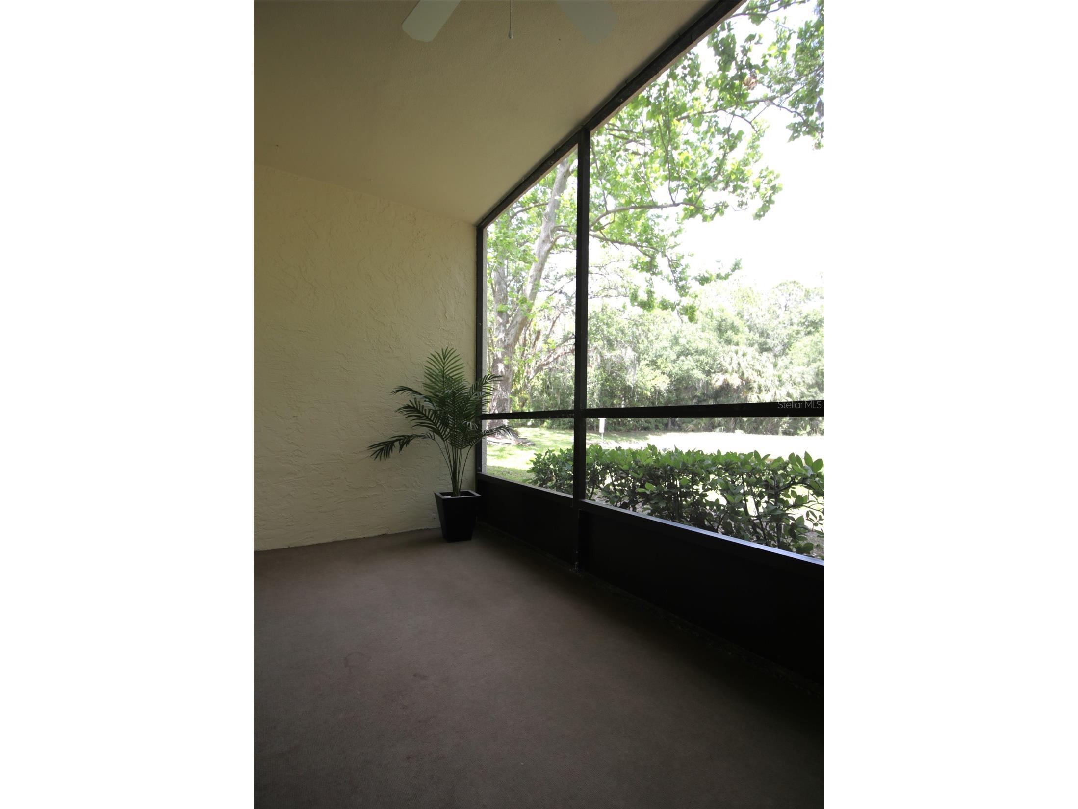 3232 Lake Pine Way E #G1 Tarpon Springs FL 34688 TB8502119 image19