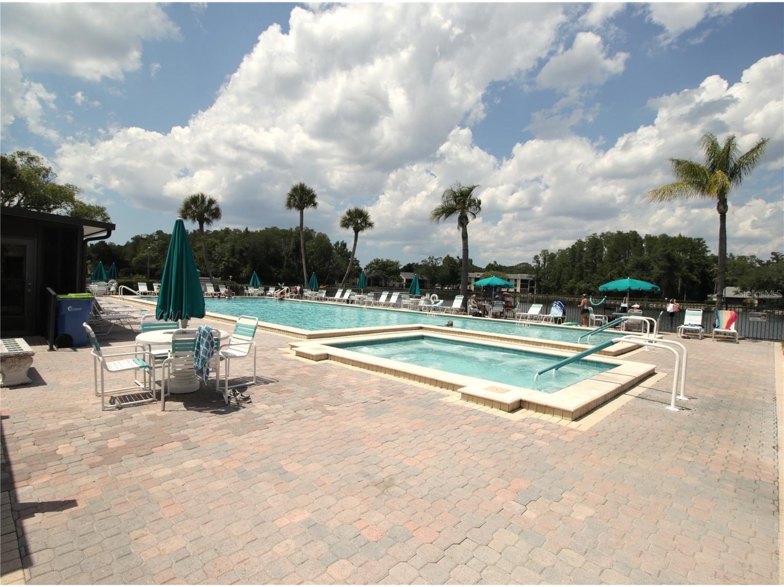 3232 Lake Pine Way E #G1 Tarpon Springs FL 34688 TB8502119 image22