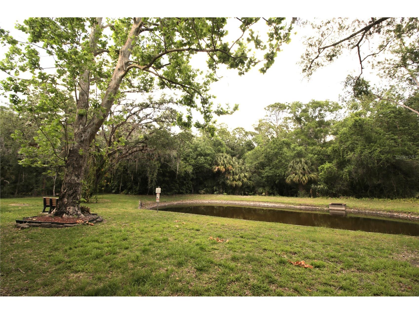 3232 Lake Pine Way E #G1 Tarpon Springs FL 34688 TB8502119 image3