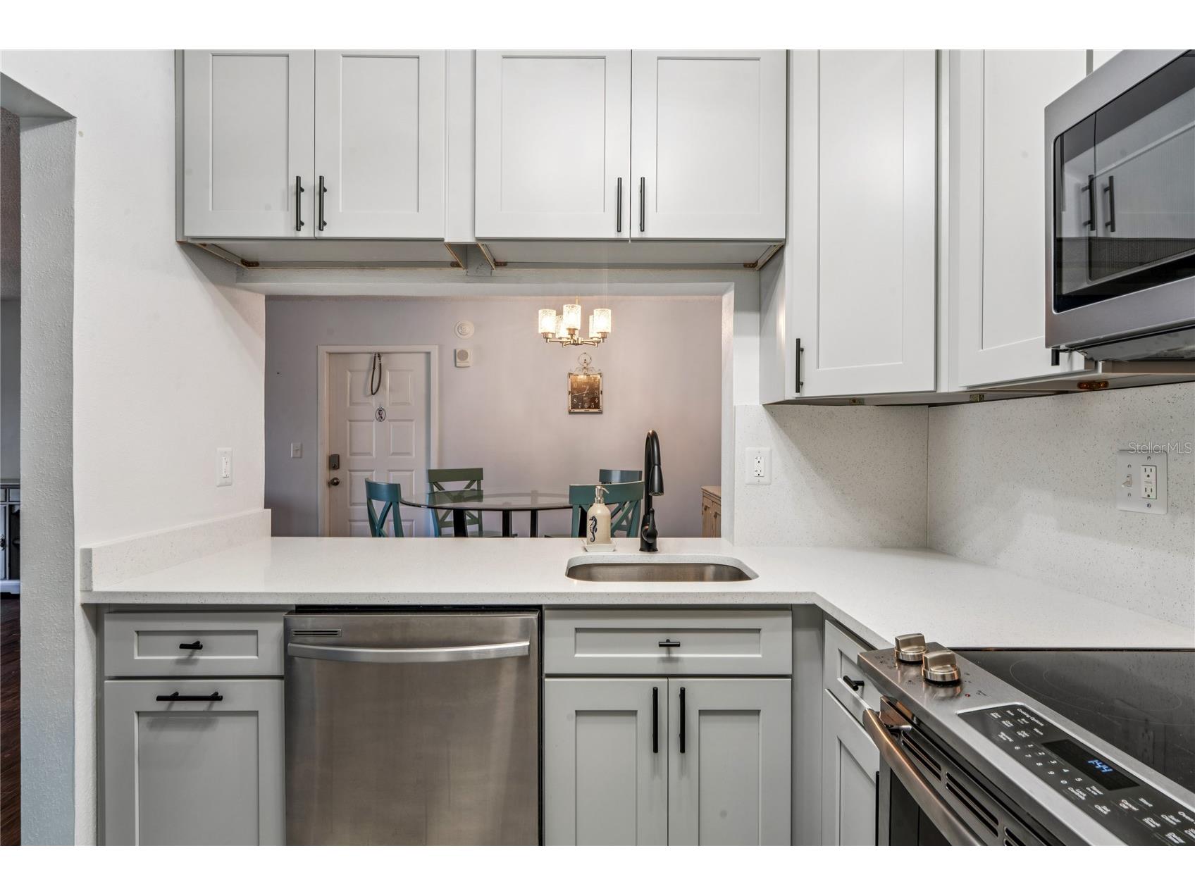 3232 Lake Pine Way E #H2 Tarpon Springs FL 34688 TB8410236 image51