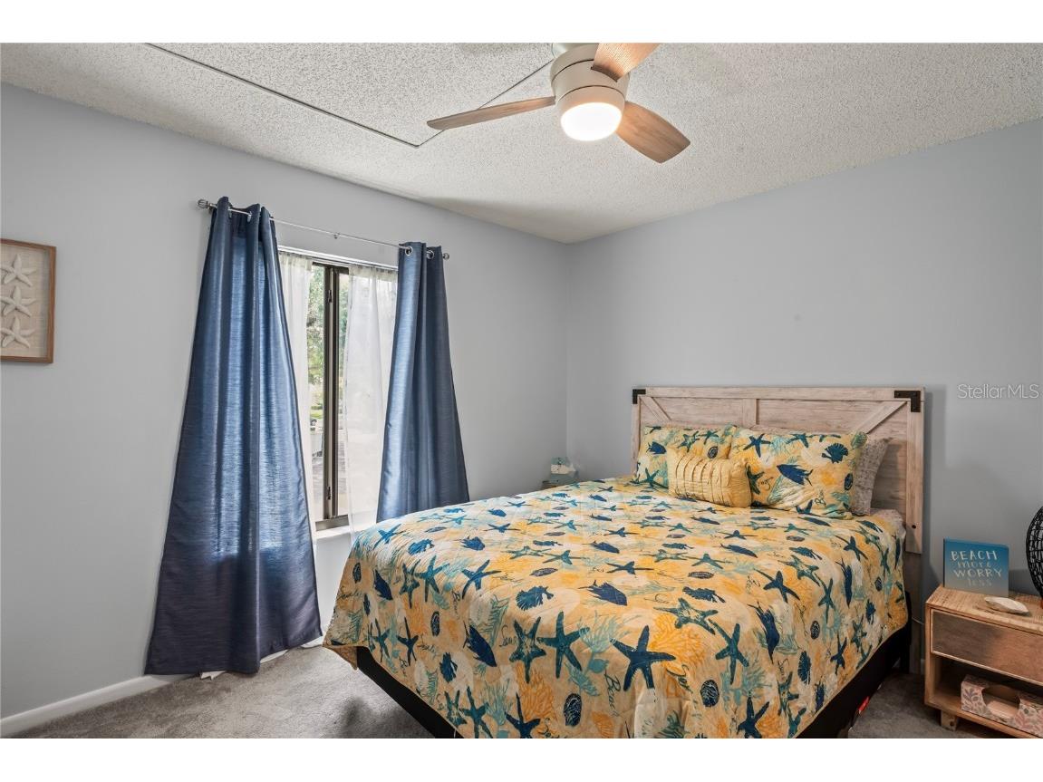 3232 Lake Pine Way E #H2 Tarpon Springs FL 34688 W7866366 image22