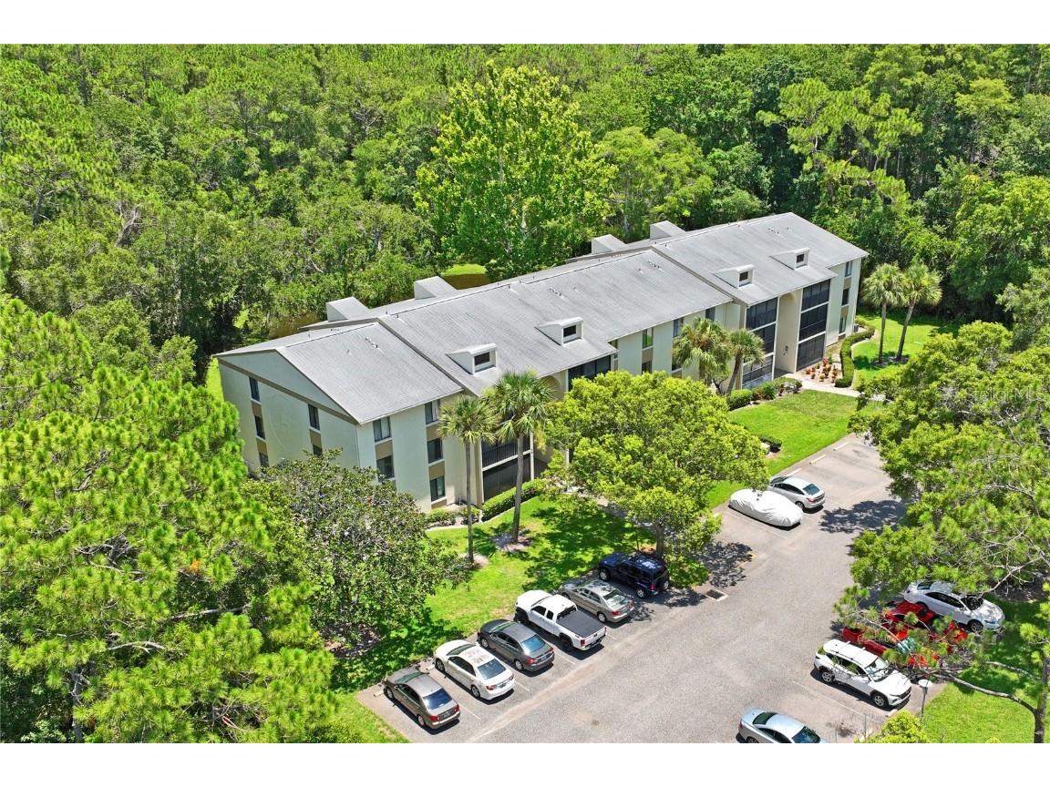 3232 Lake Pine Way E #H2 Tarpon Springs FL 34688 W7866366 image31