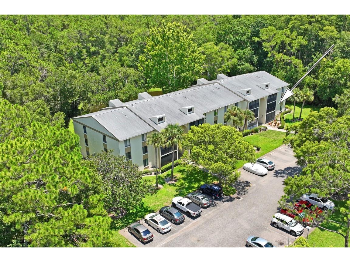 3232 Lake Pine Way E #H2 Tarpon Springs FL 34688 W7866366 image32