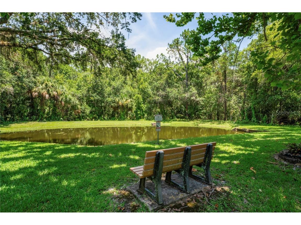 3232 Lake Pine Way E #H2 Tarpon Springs FL 34688 W7866366 image34