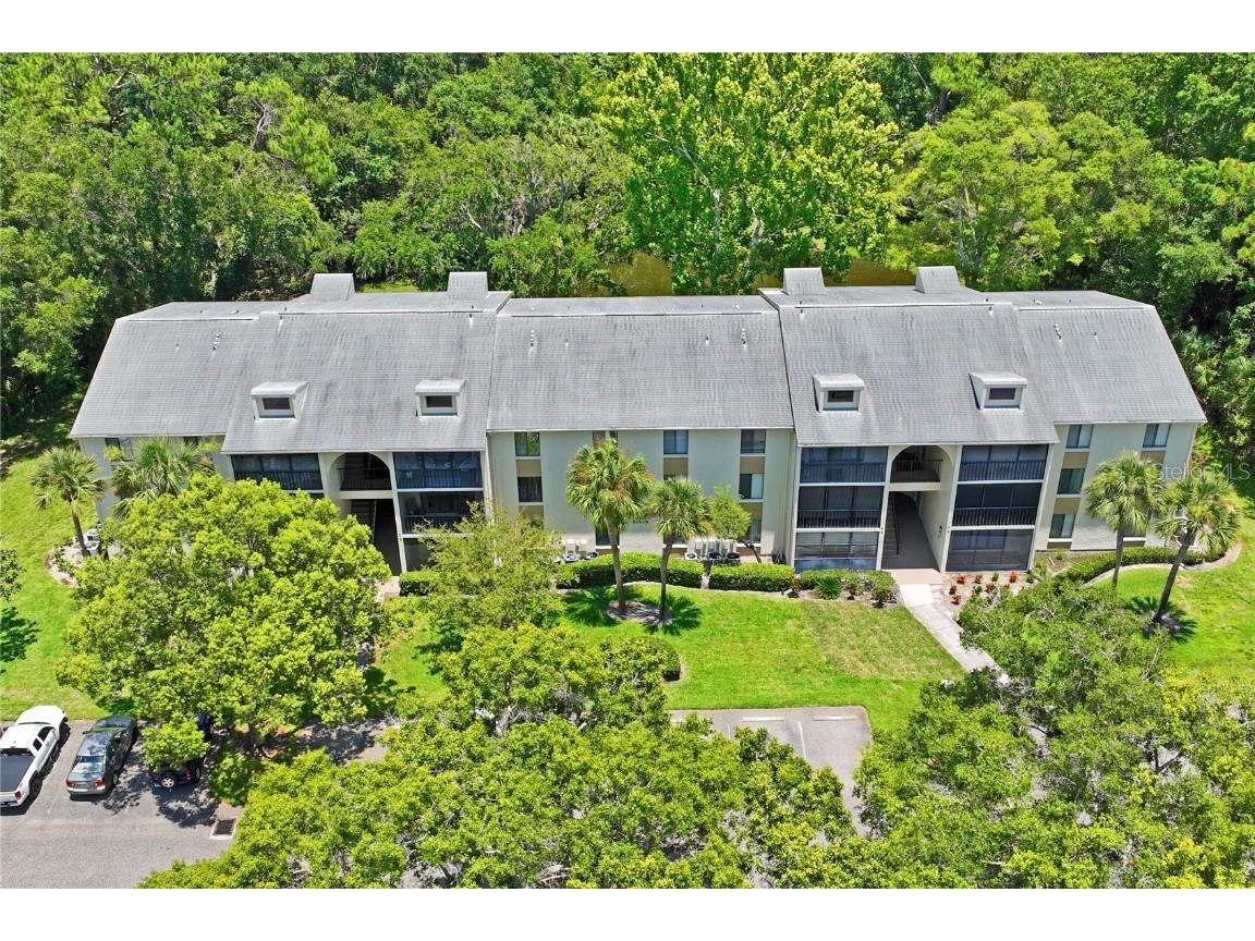 3232 Lake Pine Way E #H2 Tarpon Springs FL 34688 W7866366 image35