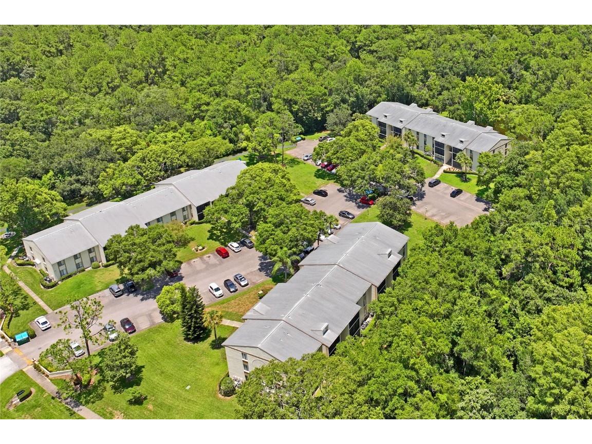 3232 Lake Pine Way E #H2 Tarpon Springs FL 34688 W7866366 image36