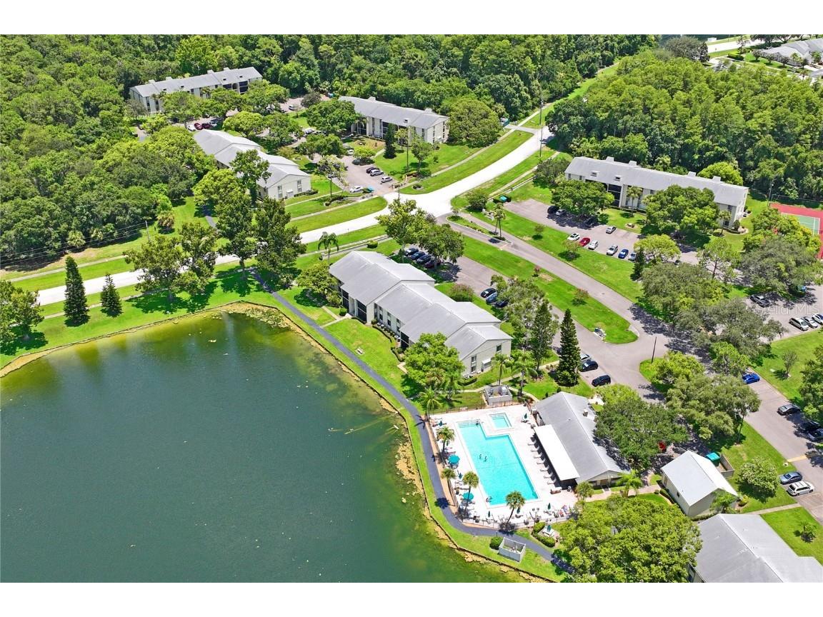 3232 Lake Pine Way E #H2 Tarpon Springs FL 34688 W7866366 image41