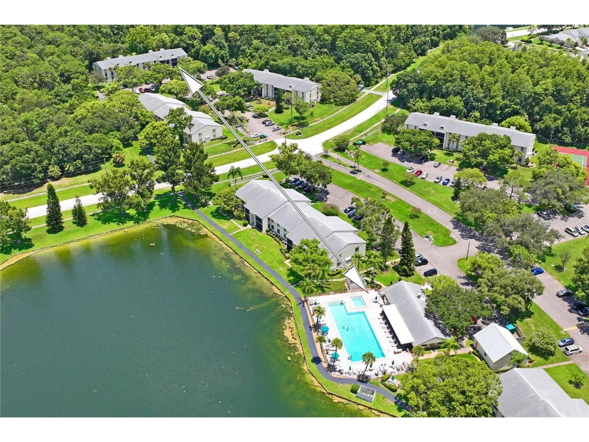 3232 Lake Pine Way E #H2 Tarpon Springs FL 34688 W7866366 image42