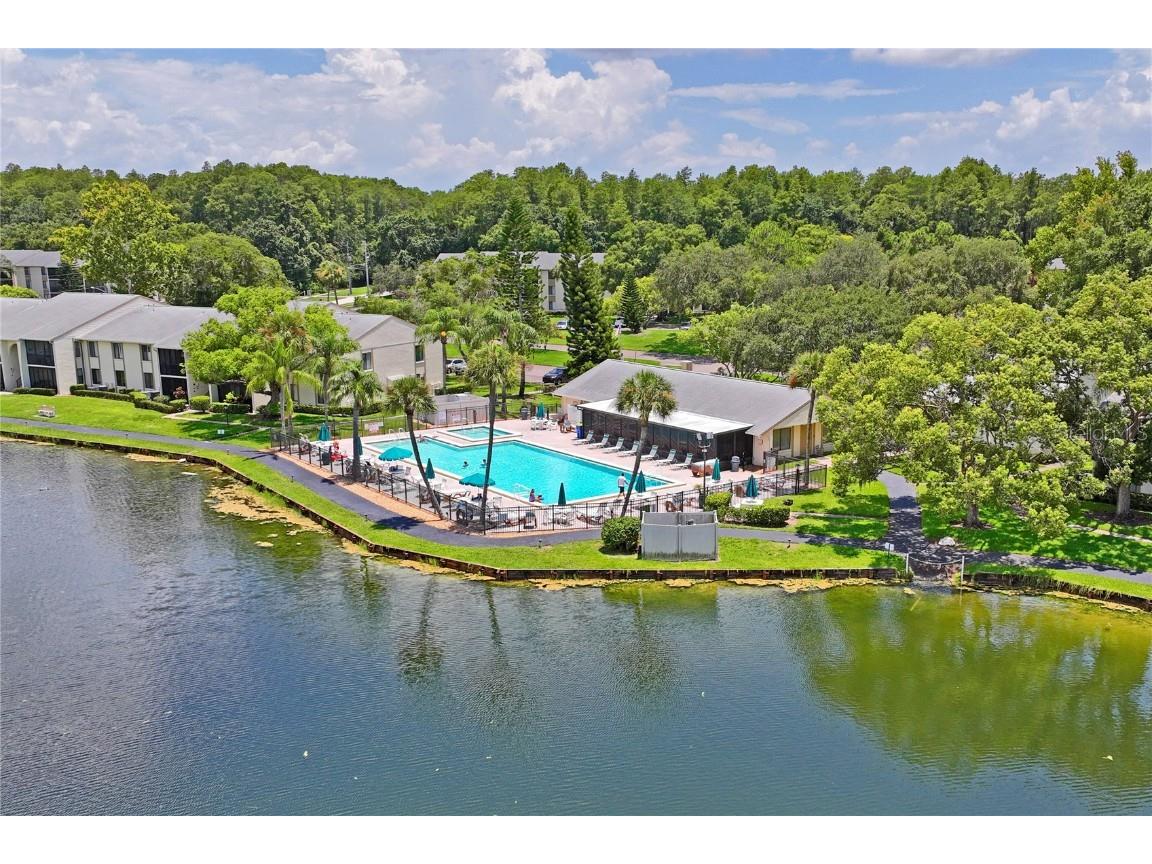 3232 Lake Pine Way E #H2 Tarpon Springs FL 34688 W7866366 image43