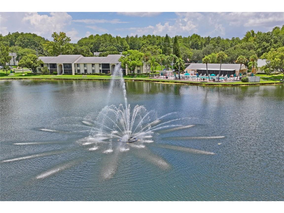 3232 Lake Pine Way E #H2 Tarpon Springs FL 34688 W7866366 image44