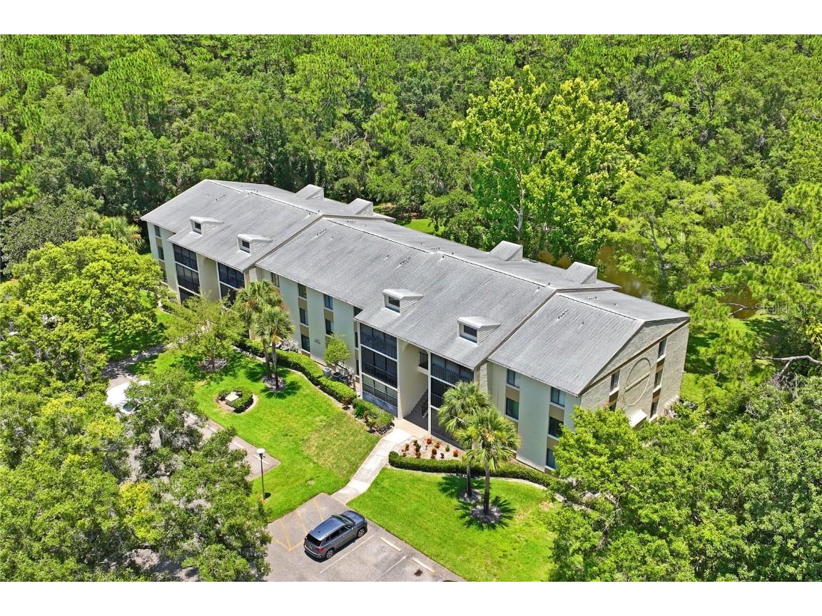 3232 Lake Pine Way E #H2 Tarpon Springs FL 34688 W7866366 image46