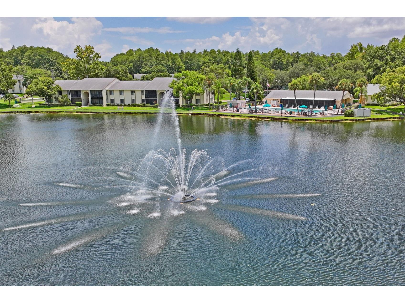 3232 Lake Pine Way #H2 Tarpon Springs FL 34688 W7884674 image42