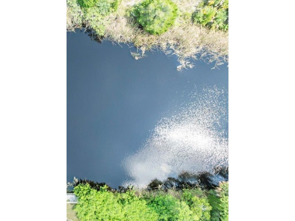 3232 Rose Arbor Drive Hernando Beach FL 34607 TB8448145 image4