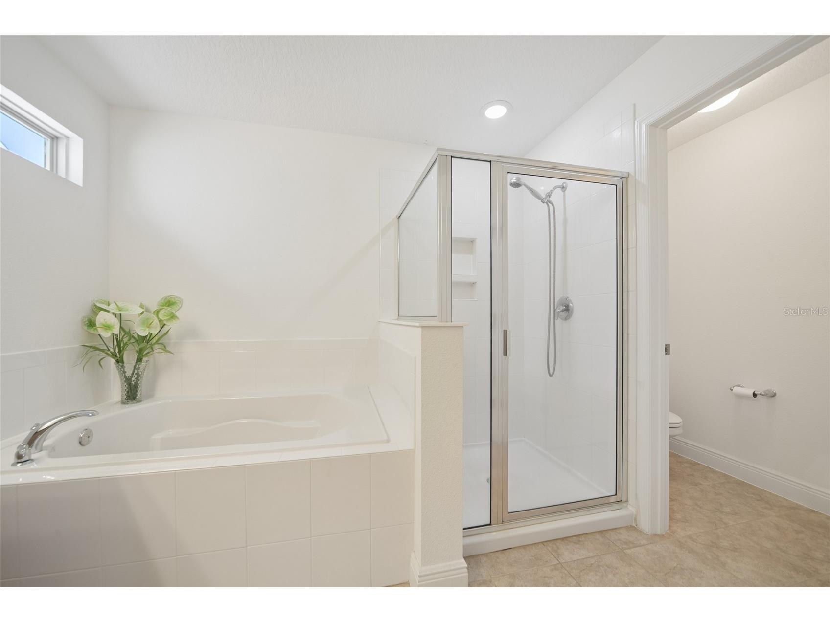 3232 Stonewyck Street Orlando FL 32824 O6391178 image33