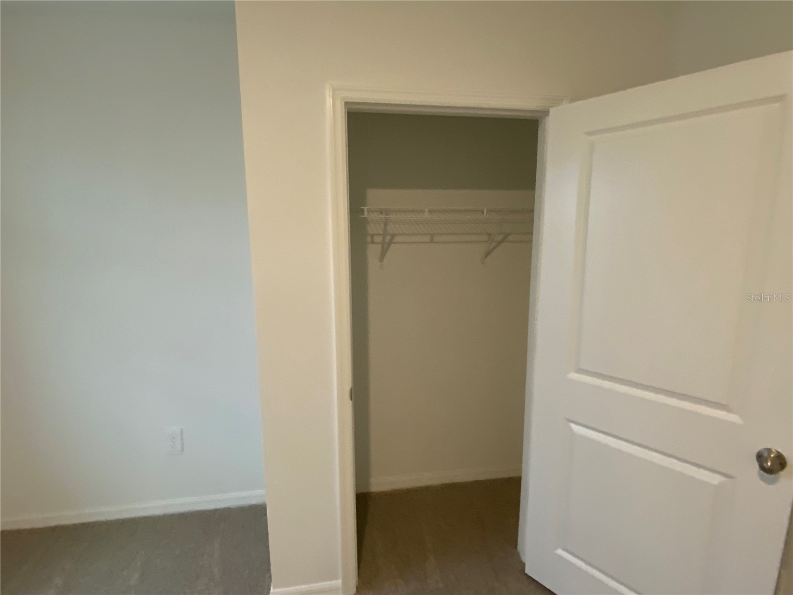 32322 Evening Grove Ct Wesley Chapel FL 33543 TB8525039 image11