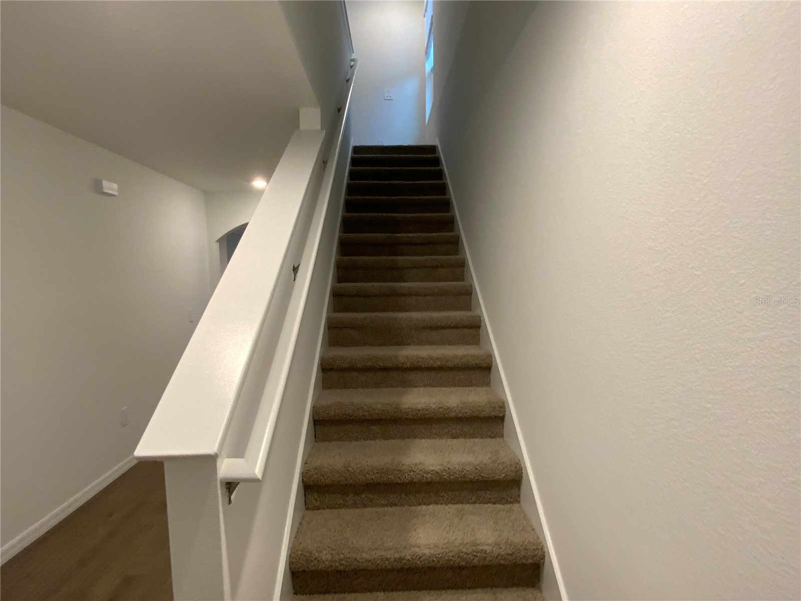 32322 Evening Grove Ct Wesley Chapel FL 33543 TB8525039 image14