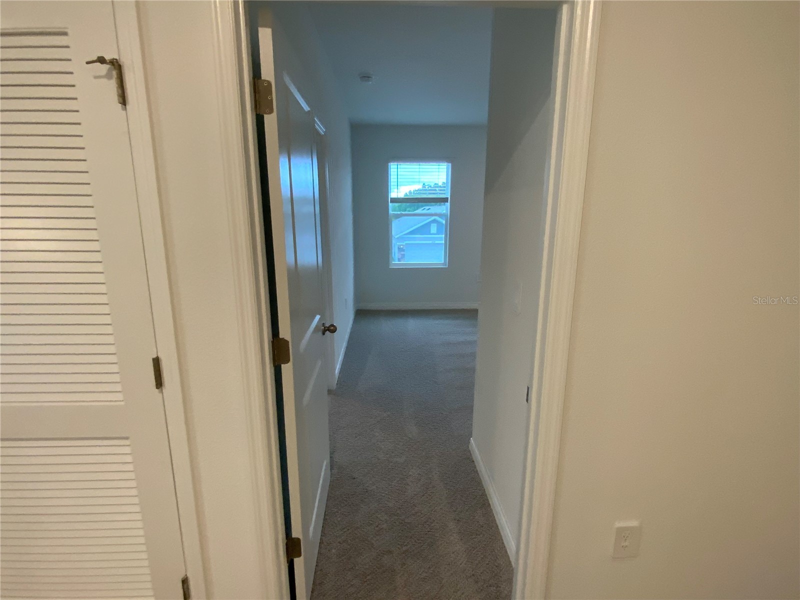32322 Evening Grove Ct Wesley Chapel FL 33543 TB8525039 image16