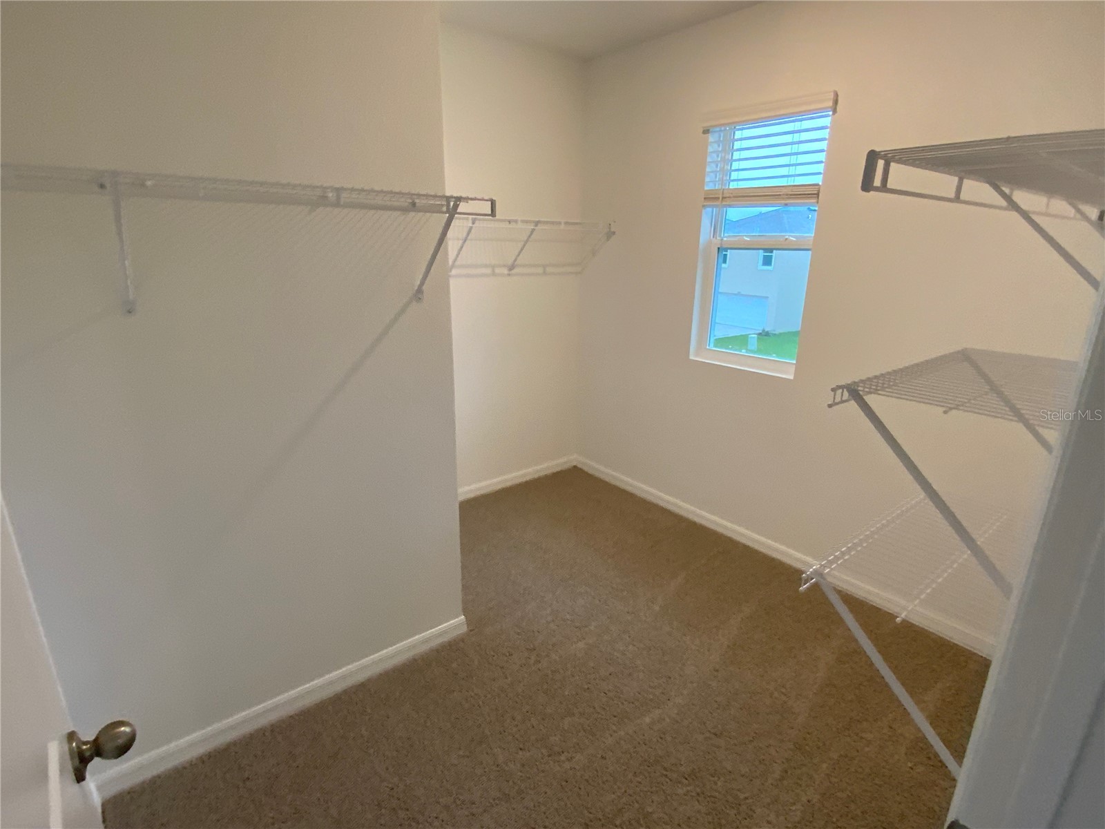 32322 Evening Grove Ct Wesley Chapel FL 33543 TB8525039 image21