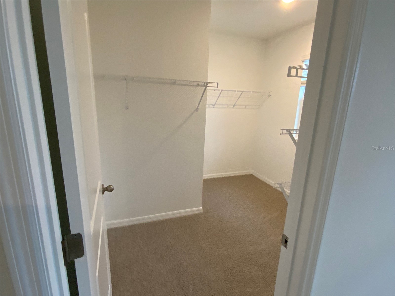 32322 Evening Grove Ct Wesley Chapel FL 33543 TB8525039 image22