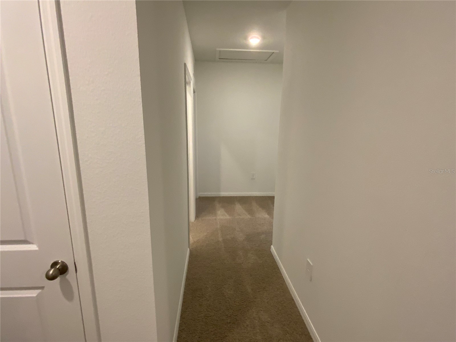 32322 Evening Grove Ct Wesley Chapel FL 33543 TB8525039 image27