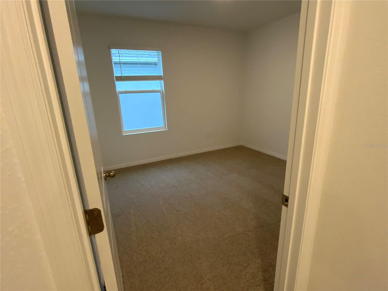 32322 Evening Grove Ct Wesley Chapel FL 33543 TB8525039 image30